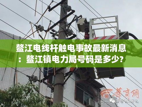 鳌江电线杆触电事故最新消息：鳌江镇电力局号码是多少? 
