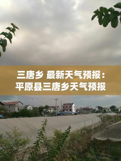 三唐乡 最新天气预报：平原县三唐乡天气预报 