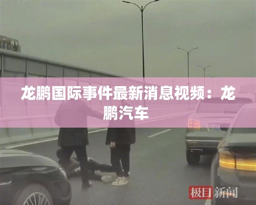 龙鹏国际事件最新消息视频：龙鹏汽车 