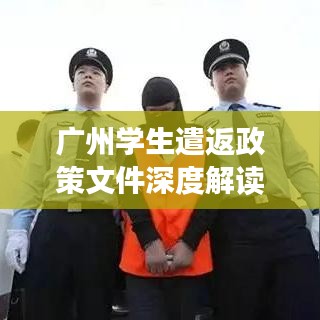 广州学生遣返政策文件深度解读，最新动态与要点解析