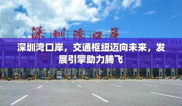 深圳湾口岸，交通枢纽迈向未来，发展引擎助力腾飞