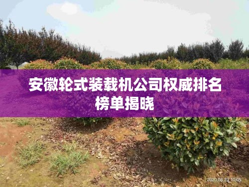 安徽轮式装载机公司权威排名榜单揭晓