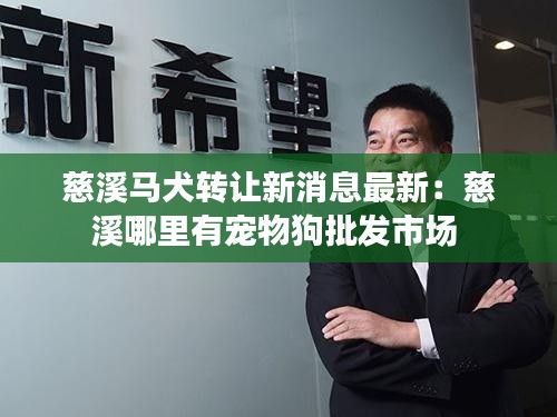 慈溪马犬转让新消息最新：慈溪哪里有宠物狗批发市场 