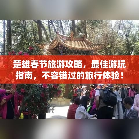 楚雄春节旅游攻略，最佳游玩指南，不容错过的旅行体验！