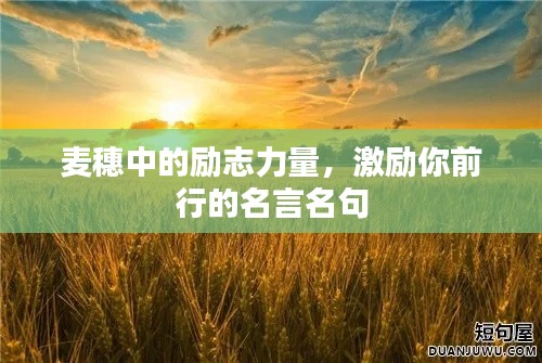 麦穗中的励志力量，激励你前行的名言名句