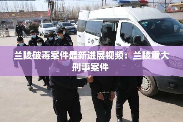 兰陵破毒案件最新进展视频：兰陵重大刑事案件 