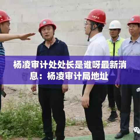 杨凌审计处处长是谁呀最新消息：杨凌审计局地址 
