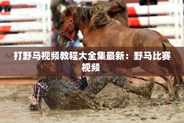 打野马视频教程大全集最新：野马比赛视频 