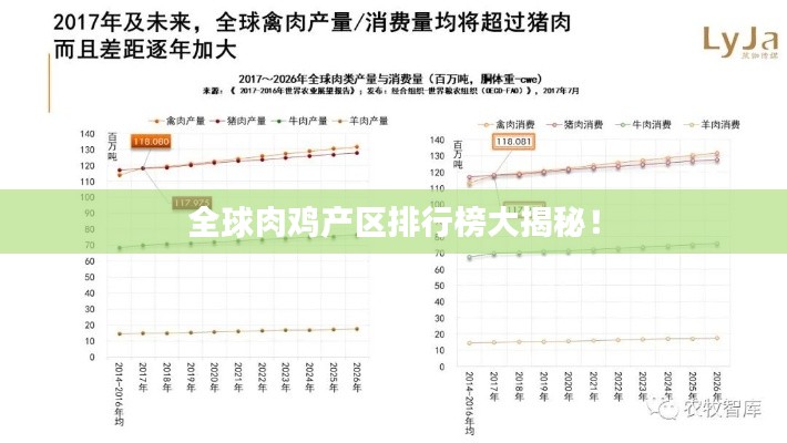 全球肉鸡产区排行榜大揭秘！
