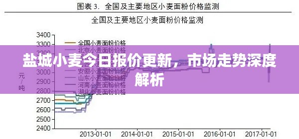 盐城小麦今日报价更新，市场走势深度解析