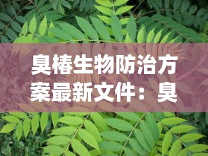 臭椿生物防治方案最新文件：臭椿虫的防治 