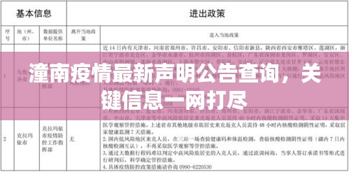 潼南疫情最新声明公告查询，关键信息一网打尽