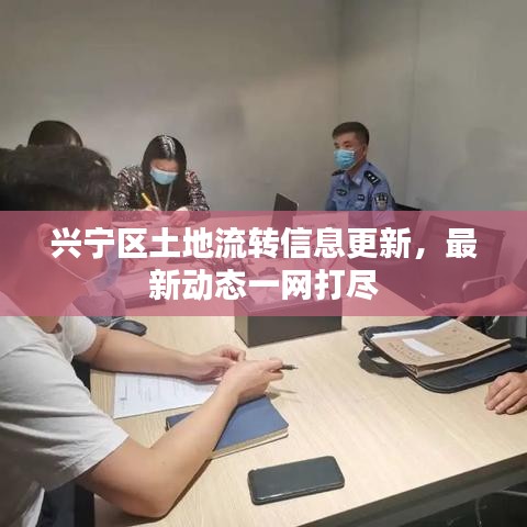 兴宁区土地流转信息更新，最新动态一网打尽