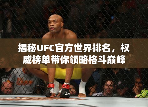 揭秘UFC官方世界排名，权威榜单带你领略格斗巅峰
