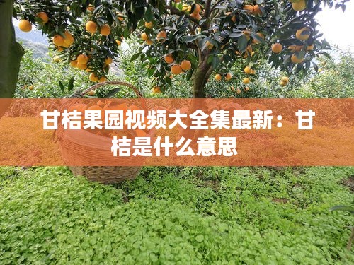 甘桔果园视频大全集最新：甘桔是什么意思 