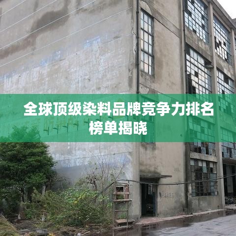 全球顶级染料品牌竞争力排名榜单揭晓