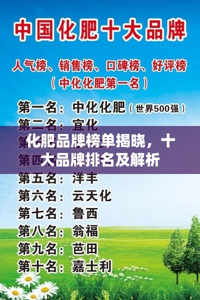 化肥品牌榜单揭晓，十大品牌排名及解析