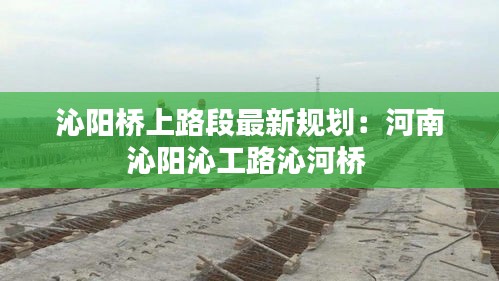 沁阳桥上路段最新规划：河南沁阳沁工路沁河桥 