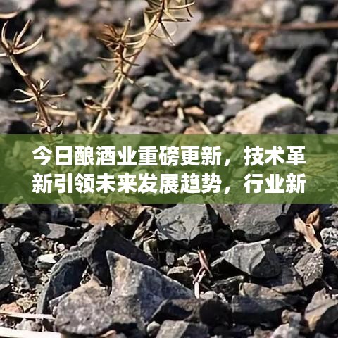 今日酿酒业重磅更新，技术革新引领未来发展趋势，行业新动向揭秘最新消息