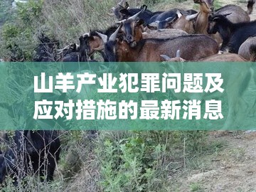 山羊产业犯罪问题及应对措施的最新消息解析