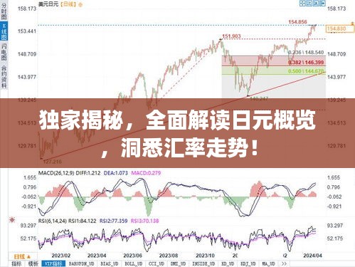 独家揭秘，全面解读日元概览，洞悉汇率走势！