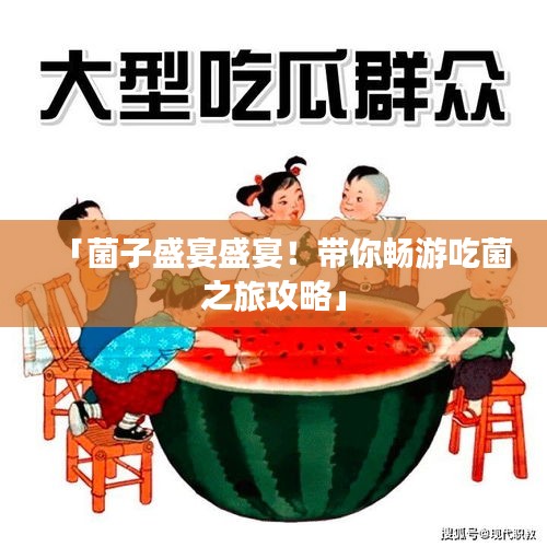 「菌子盛宴盛宴！带你畅游吃菌之旅攻略」