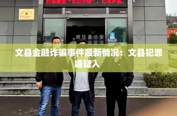 文县金融诈骗事件最新情况：文县犯罪嫌疑人 