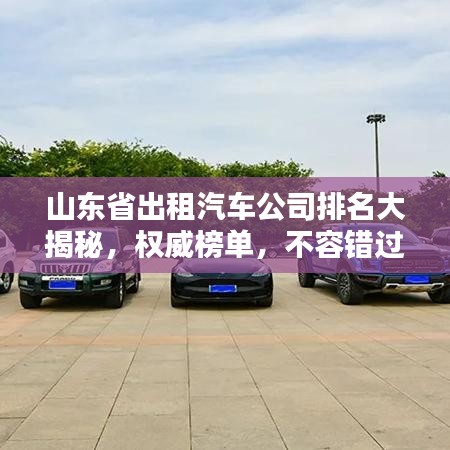 山东省出租汽车公司排名大揭秘，权威榜单，不容错过！