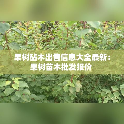 敷衍了事 第2页