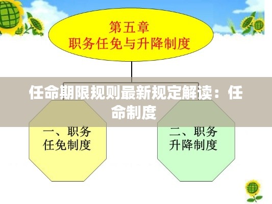 任命期限规则最新规定解读：任命制度 