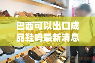 巴西可以出口成品鞋吗最新消息：巴西大量出口什么进口什么 
