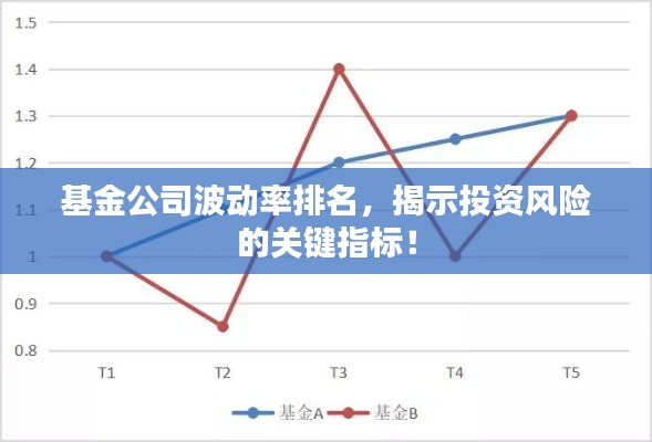 基金公司波动率排名，揭示投资风险的关键指标！