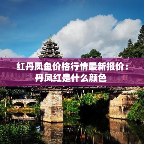 红丹凤鱼价格行情最新报价：丹凤红是什么颜色 