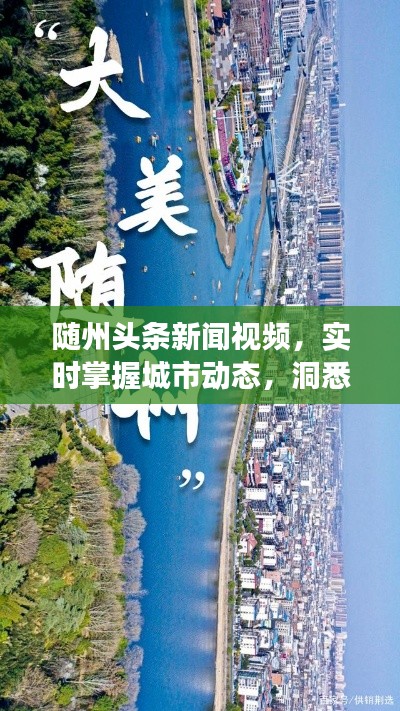 随州头条新闻视频，实时掌握城市动态，洞悉变迁大事小情