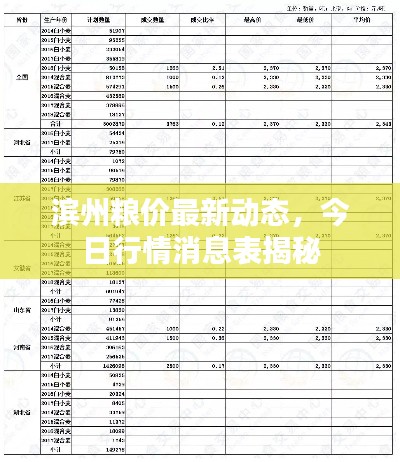 滨州粮价最新动态，今日行情消息表揭秘