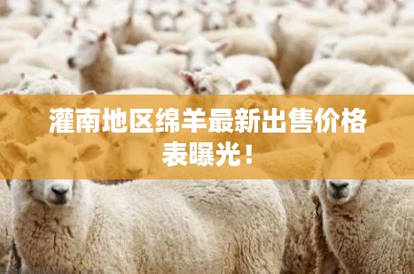 灌南地区绵羊最新出售价格表曝光！