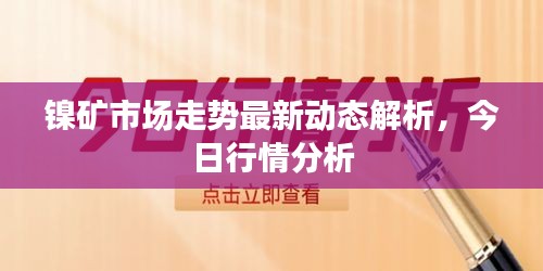 镍矿市场走势最新动态解析，今日行情分析