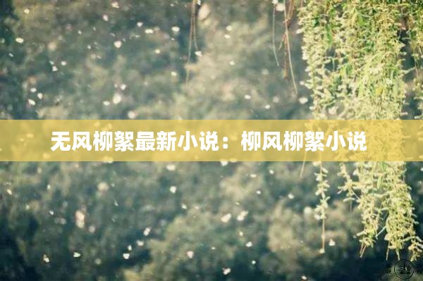 无风柳絮最新小说：柳风柳絮小说 