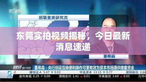 东莞实拍视频揭秘，今日最新消息速递