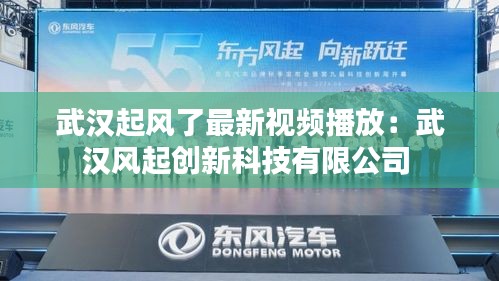 武汉起风了最新视频播放：武汉风起创新科技有限公司 