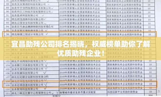 宜昌助残公司排名揭晓，权威榜单助你了解优质助残企业！