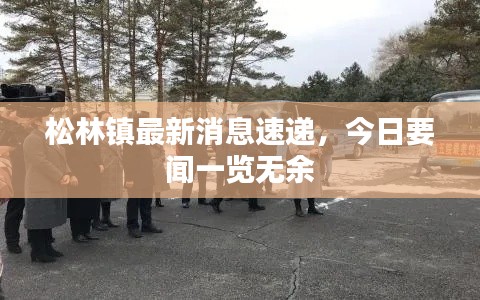 松林镇最新消息速递，今日要闻一览无余