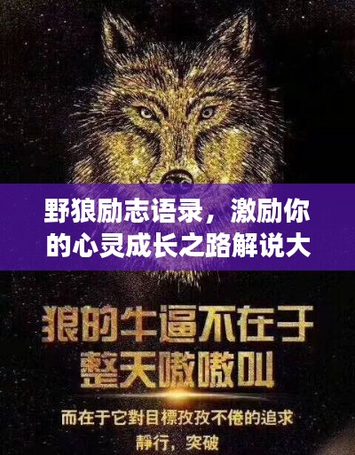 野狼励志语录，激励你的心灵成长之路解说大全