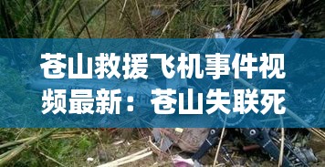 苍山救援飞机事件视频最新：苍山失联死亡事件 