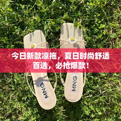 今日新款凉拖，夏日时尚舒适首选，必抢爆款！