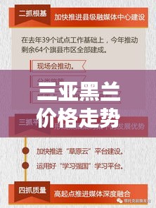 三亚黑兰价格走势图表深度解析，最新动态一目了然