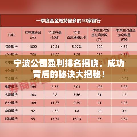 宁波公司盈利排名揭晓，成功背后的秘诀大揭秘！