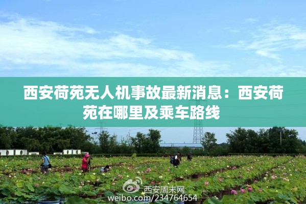 西安荷苑无人机事故最新消息：西安荷苑在哪里及乘车路线 
