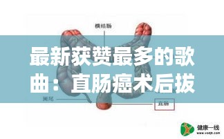 最新获赞最多的歌曲：直肠癌术后拔肛管时间 
