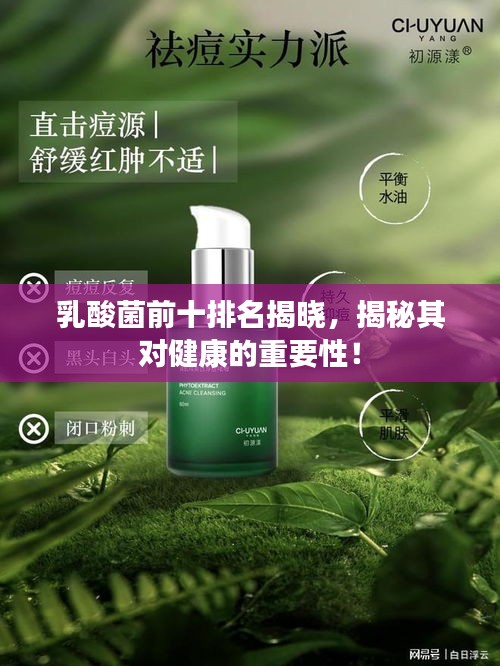 乳酸菌前十排名揭晓，揭秘其对健康的重要性！